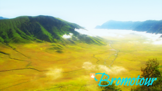 Padang Rumput Savana Bromo