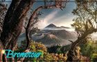 Bromo Tour Package from Bali (3D2N)