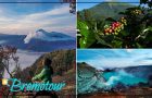 4 Days Mount Bromo, Ijen & Kalibaru Plantation Tour from Bali