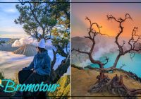 3D2N Trip from Surabaya to Mount Bromo and Ijen Blue Fire