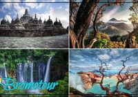 Yogyakarta Borobudur Tumpak Sewu Bromo Ijen Bali 6D5N Tour