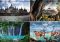 Yogyakarta Borobudur Tumpak Sewu Bromo Ijen Bali 6D5N Tour