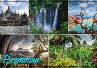 7D6N Best Trip Yogyakarta Borobudur Bromo Ijen Sewu & Kalibaru